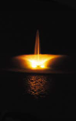  Daffodil Nozzle Floating Display Aerator 